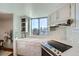 Modern kitchen featuring ample counter space, stainless steel appliances, stylish cabinetry, and a large window at 1085 N Lafayette St # 804, Denver, CO 80218