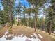 Wooded backyard with a gentle slope, partially covered in snow at 23485 Bluestem Dr, Golden, CO 80401