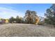 View of back yard surrounded by tall trees and other houses in the distance at 34427 Columbine W Trl, Elizabeth, CO 80107