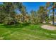 Well-manicured front lawn with mature trees and professional landscaping at 9522 Silver Spur Ln, Highlands Ranch, CO 80130