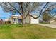 Beautiful single-Gathering home with mature landscaping including a large shade tree and a vibrant green lawn at 12116 N Fairfax St, Thornton, CO 80241