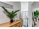 Bright entryway featuring decor, plants, and stairs leading to the upper level with natural light at 21658 E Tallkid Ave, Parker, CO 80138