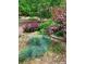 Lush garden featuring a variety of plants, bushes, and ground cover at 1433 Olive St, Denver, CO 80220