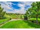 Lush green backyard featuring a well-maintained lawn and charming wooden fence, perfect for outdoor relaxation at 2252 S Queen St, Lakewood, CO 80227