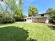 Expansive backyard featuring well-manicured lawn, mature trees, and a spacious patio at 8426 W Woodard Dr, Lakewood, CO 80227