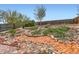 Landscaped backyard showcasing decorative stone and tile accents with various plants and trees at 8511 Essex Dr, Denver, CO 80229