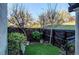 Private backyard area features a well-maintained lawn, lush greenery, and wooden fence at 1530 S Quebec Way # 29, Denver, CO 80231