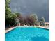 Community pool surrounded by mature trees and lounge chairs offers a relaxing oasis at 12566 Dexter St, Thornton, CO 80241