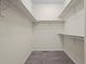 Walk-in closet featuring carpeted floors, shelving, and a hanging rod for optimal storage solutions at 836 Sundance Ln, Erie, CO 80516