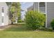 Backyard featuring a green lawn and several mature trees at 3331 S Monaco Pkwy # D, Denver, CO 80222