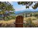 Relaxing backyard with a wooden Adirondack chair overlooking mountain views and lush greenery at 814 Neville Ln, Golden, CO 80401