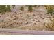 A herd of elk peacefully grazes on a hillside dotted with trees and vegetation at 814 Neville Ln, Golden, CO 80401