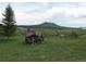 Rustic wooden wagon in a field, with trees and a mountain in the background at 5351 Tall Horse Trl, Sedalia, CO 80135