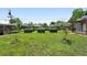Backyard with a green lawn, metal garden beds, and young trees at 1240 Ulster St, Denver, CO 80220