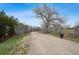 Dirt walking path surrounded by green grass, blue skies and mature trees at 3311 E Euclid Ave, Centennial, CO 80121