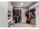 Organized walk-in closet with shelving, hanging rods, drawers and carpeted floors for optimal storage at 25046 E Bayaud Pl, Aurora, CO 80018