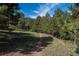 Winding dirt trail through a wooded area, showcasing the property's natural setting at 947 Dogwood Dr, Golden, CO 80401