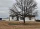 Newly remodeled single Gathering house with fresh white paint, black trim and a mature tree in front at 7486 Harold St, Fort Lupton, CO 80621