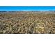 Expansive aerial view of a residential neighborhood featuring lush trees and distant mountain views at 7785 Westview Dr, Lakewood, CO 80214