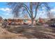 Expansive backyard featuring mature tree, a fenced perimeter, and outdoor furniture at 3023 S Fenton St, Denver, CO 80227