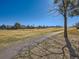 Scenic view of the green space and walking path. Perfect for outdoor activities and enjoying nature at 2446 S Vaughn Way # A, Aurora, CO 80014