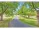 Picturesque view of a winding community drive surrounded by mature trees and lawns at 7000 E Quincy Ave # 317, Denver, CO 80237