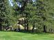 Lush golf course with players, golf carts, and beautiful green surroundings at 29090 Golf Way, Evergreen, CO 80439