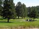 Picturesque golf course with lush green fairways and towering trees at 29090 Golf Way, Evergreen, CO 80439