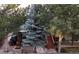 A charming backyard with lush greenery and mature trees creating a private outdoor retreat at 16873 Boreas Ct, Parker, CO 80134