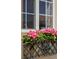 Close-up of a window box filled with vibrant pink flowers, adding charm to the home's exterior at 4194 Beautiful Cir, Castle Rock, CO 80109