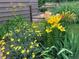 A colorful and vibrant garden filled with orange and yellow lilies and other plants at 1503 W Briarwood Ave, Littleton, CO 80120