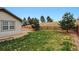 Beautiful backyard featuring a lush green lawn, wooden fence, and views of the surrounding landscape at 3469 Amber Sun Cir, Castle Rock, CO 80108