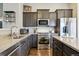 Stylish kitchen featuring stainless steel appliances, granite countertops, and ample cabinet space at 3469 Amber Sun Cir, Castle Rock, CO 80108