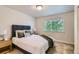 Cozy bedroom with comfortable bed, accent pillows, and large window for natural light at 65 Avocet Ct, Longmont, CO 80501