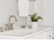 Bathroom details showcasing a modern faucet and countertop arrangement with a lush plant at 117 S Pierce St, Lakewood, CO 80226