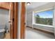 Bright walk-in closet with built-in shelving, carpeted floor, and a large window with a scenic view at 3191 Bittersweet Ln, Evergreen, CO 80439