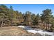 Scenic view of wooded property with snow patches at 24847 Richmond Hill Rd, Conifer, CO 80433