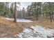 Scenic view of the backyard featuring a wooded area and snow at 30690 Highway 72, Golden, CO 80403