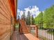 Wood deck with stairs provides access to the backyard surrounded by mature trees and blue sky at 11768 Black Hawk Dr, Conifer, CO 80433