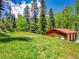 A well-maintained wooden three car garage with a red roof sits on a lush green lawn in a forested area at 11768 Black Hawk Dr, Conifer, CO 80433