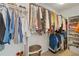 Walk-in closet features clothing racks and organized storage solutions for optimal organization at 8408 Everett Way # B, Arvada, CO 80005
