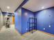 Basement featuring exercise equipment and blue walls at 8793 Cloverleaf Cir, Parker, CO 80134