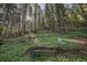 Tranquil backyard scene with a bench overlooking a lush, green landscape and towering trees at 26378 S End Rd, Kittredge, CO 80457