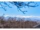 Scenic mountain range backdrop with foreground trees and a clear blue sky at 9239 Erminedale Dr, Lone Tree, CO 80124