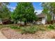 Charming landscaped front yard with a beautiful mature shade tree at 1341 Chester St, Aurora, CO 80010