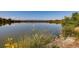 Scenic lake view with calm waters reflecting the sky and distant mountains on a sunny day at 1583 Grove St # 5, Denver, CO 80204