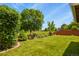 Lush backyard featuring a well-manicured lawn, mature trees, and a charming wooden fence at 13235 Clermont Cir, Thornton, CO 80241