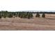Scenic landscape featuring a vast field with scattered trees and a mountain range in the background at 14550 Arfsten Rd, Larkspur, CO 80118