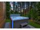 Inviting hot tub with built-in lights, surrounded by lush greenery, offering a private spa experience at 27 Boulder Cir, Breckenridge, CO 80424