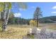 Picturesque backyard with Adirondack chairs and table beneath autumn trees at 20 W Ranch Trl, Morrison, CO 80465